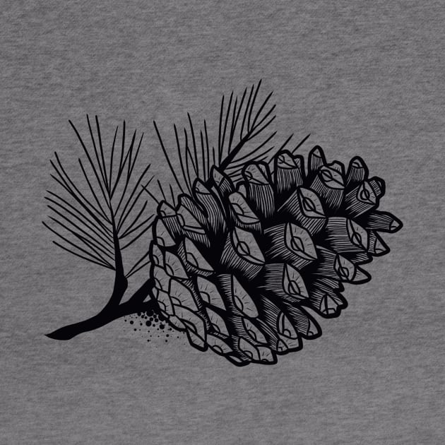 Pine cone by Adorline